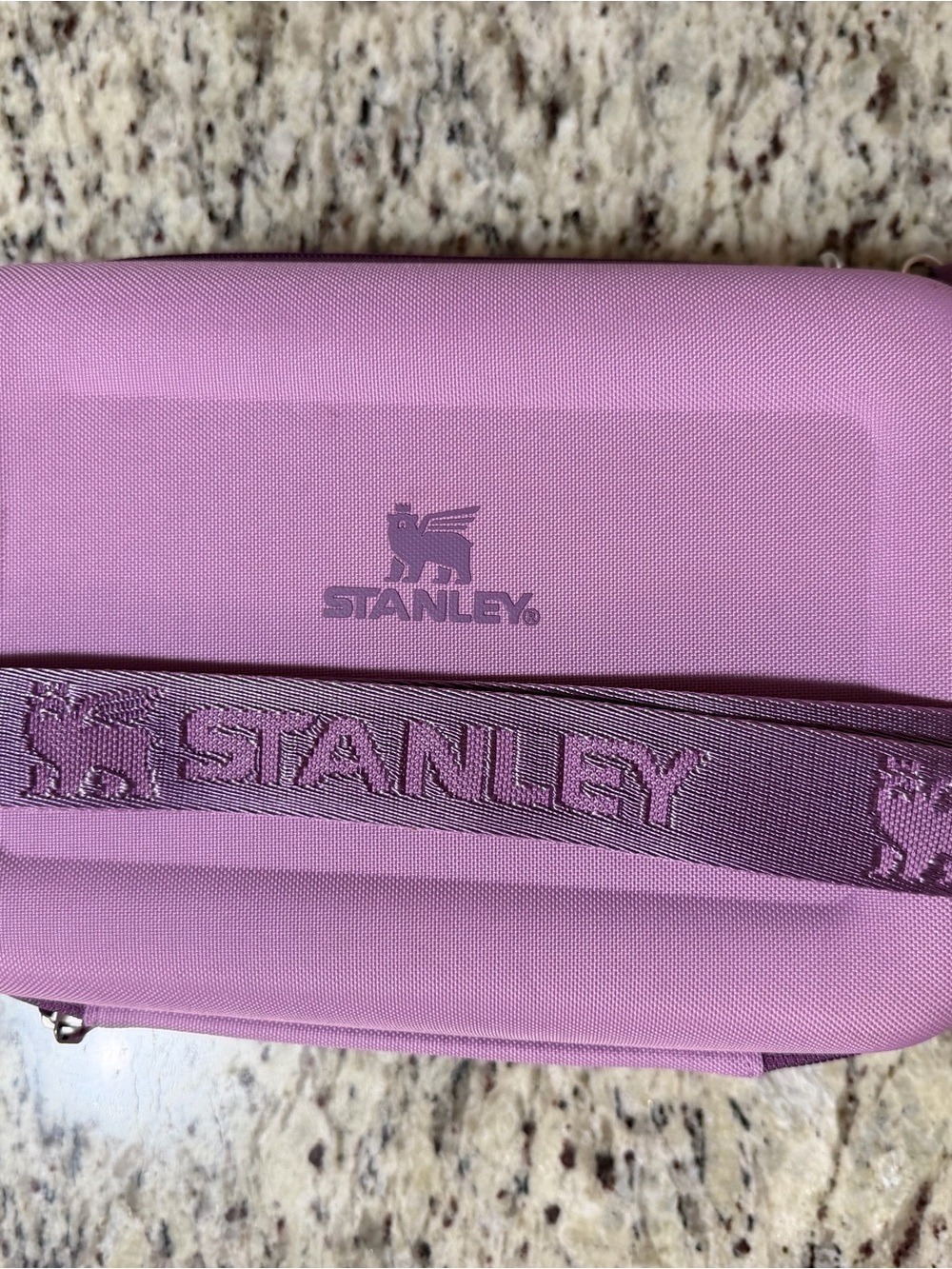 Stanley Purple Kids Lunch Box